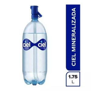 Agua mineral Peñafiel 600 ml