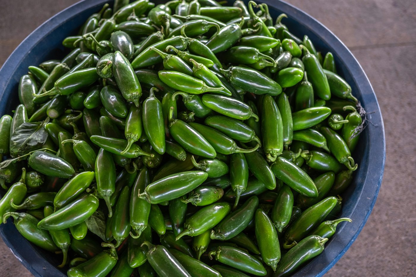 Chile jalapeño