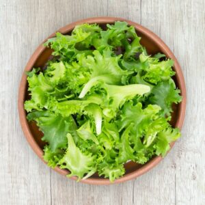 Lechuga