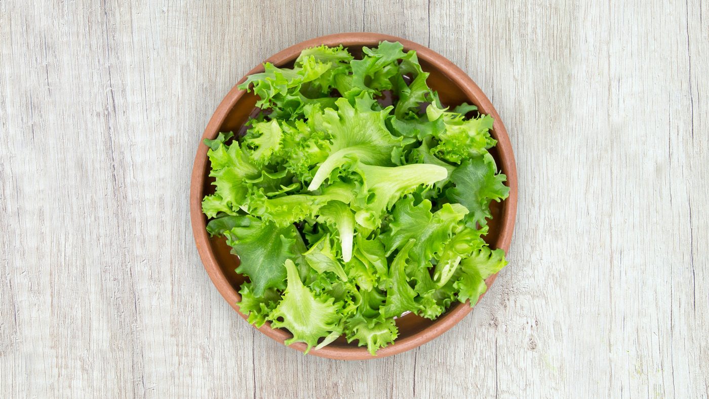 Lechuga