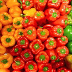 Pimiento Morron